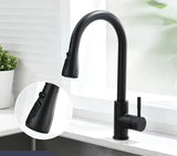Brushed Nickel Pull-Out Kitchen Faucet Mixer