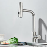 Stainless Steel Gunmetal Gray Kitchen Faucet